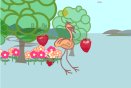 Flash 	animation